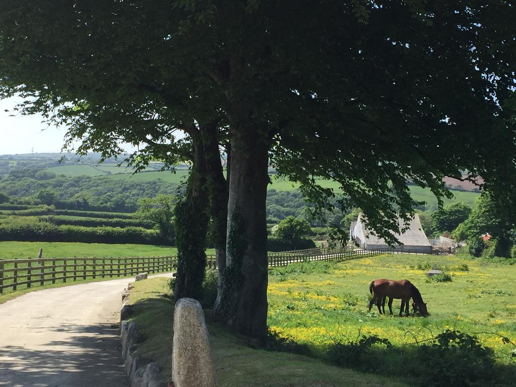 Treveighan Farmhouse Saint Teath Exterior foto